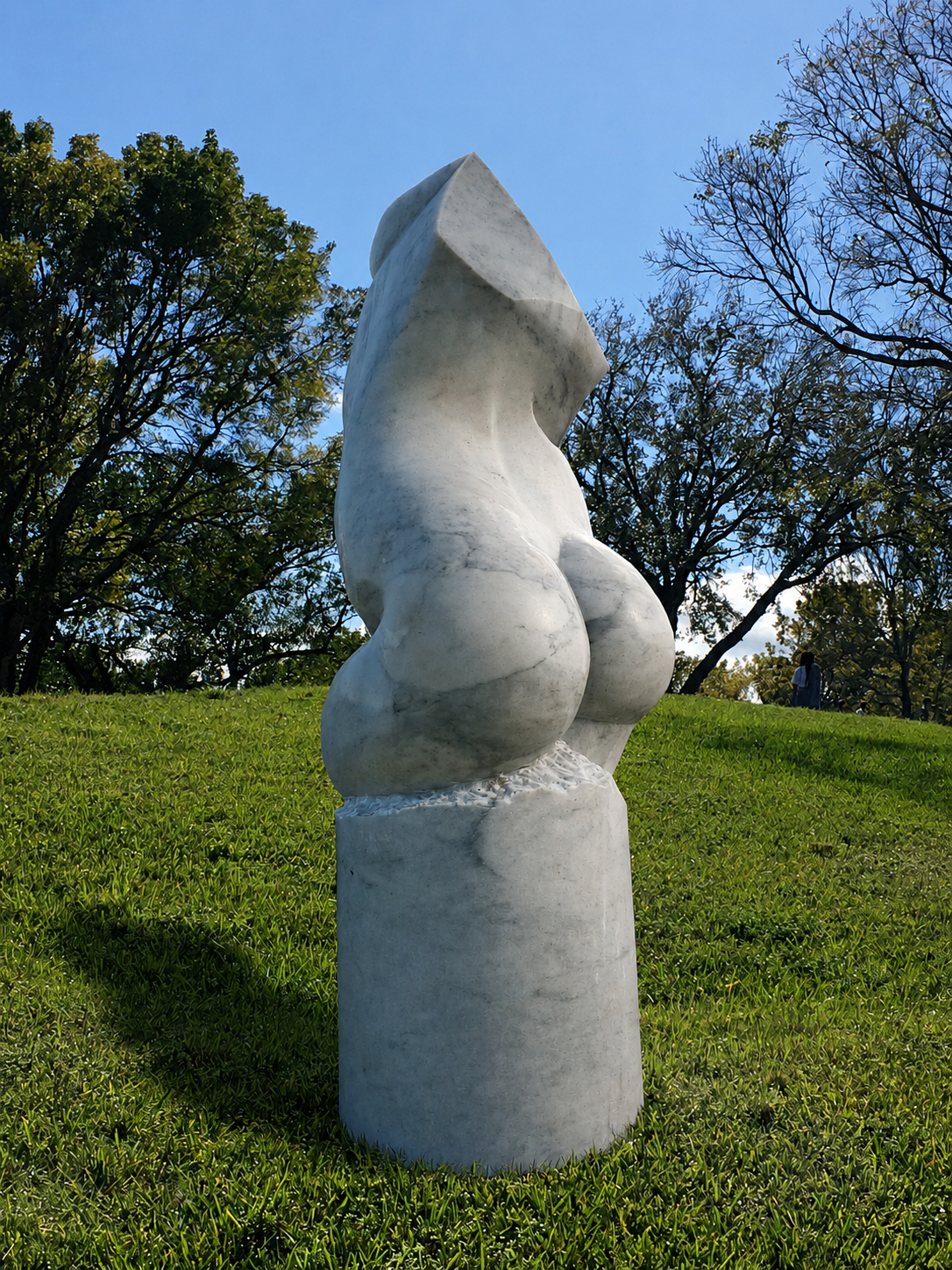 Common Aphrodite